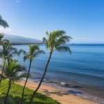 Sugar Beach Kihei Maui Hawaii USA | Taya Raine